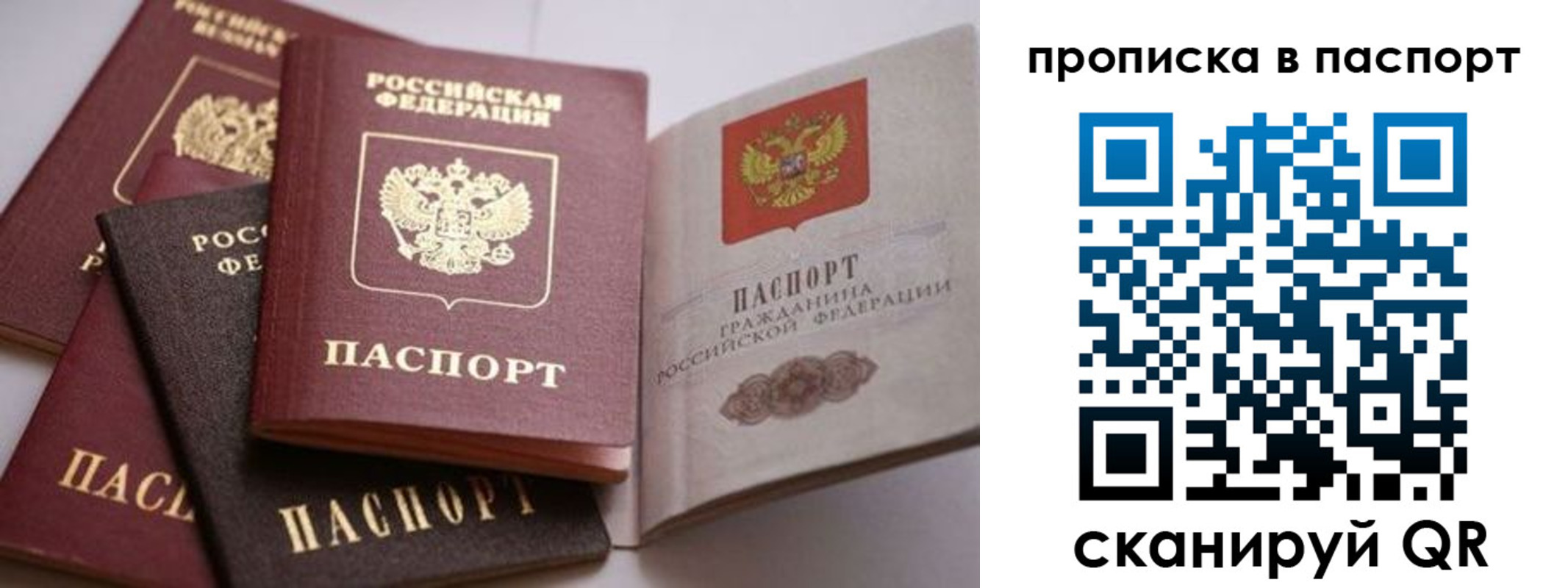 прописка поиск в Раменском