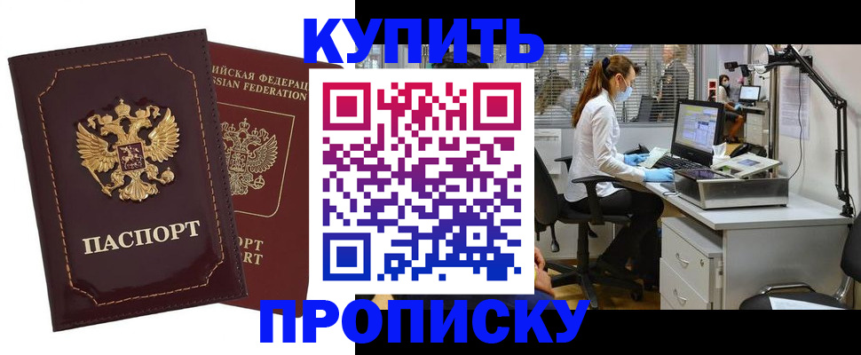 прописка гарантия в Раменском